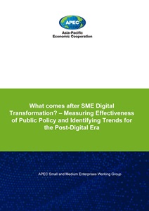 Cover_223_SME_What Comes After SME Digital Transfromation